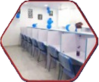 Study area